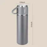 vacuum flask